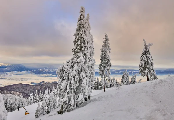 Vista Panorâmica Sobre Pista Esqui Poiana Brasov Estância Esqui Transilvânia — Fotografia de Stock