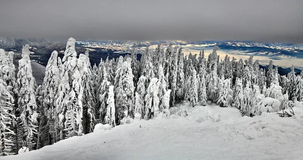 Kayak Pisti Poiana Brasov Içinde Belgili Tanımlık Geçmiş Bucegi Dağları — Stok fotoğraf