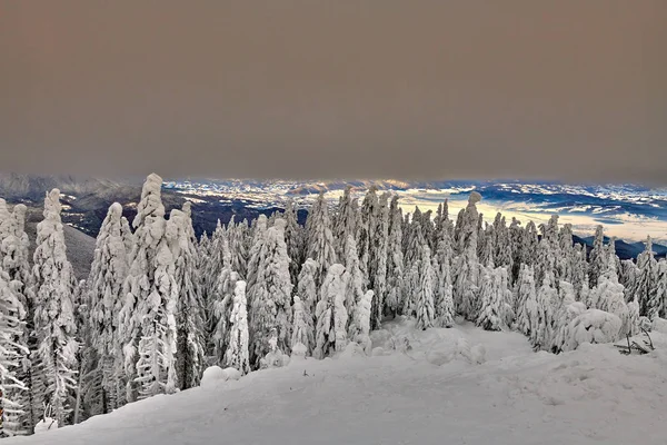 Kayak Pisti Poiana Brasov Içinde Belgili Tanımlık Geçmiş Bucegi Dağları — Stok fotoğraf