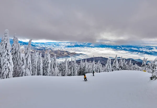 Kayak Pisti Poiana Brasov Kayak Merkezi Transylvania Kış Sezon Kışın — Stok fotoğraf