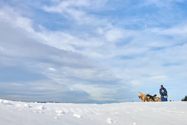 Tusnad Roemenië Februari 2019 Onbekende Man Deel Nemen Aan Gratis — Stockfoto