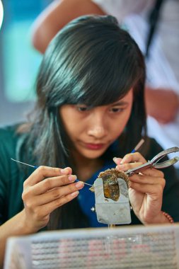 Ha Long Bay, Vietnam-29 Kasım 2014: inci teknisyen implant Halong Bay UNESCO Dünya Miras Listesi istiridye gruptaki inci çiftliğinde inciler