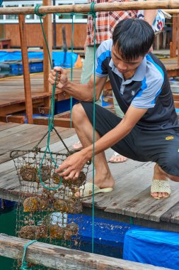 Ha Long Bay, Vietnam-29 Kasım 2014:Pearl çiftlik Halong Bay, Vietnam UNESCO Dünya Miras Listesi
