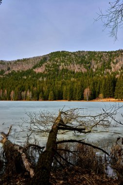 Kışın Saint Ana 'daki güzel volkanik göl. Tusnad Romanya 'daki Saint Ana volkanik gölü