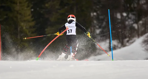 Brasov Romania February 2018 Young Competitors Romania Teleferic Cup Junior — Stockfoto