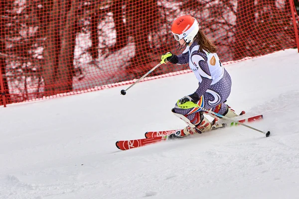 Brasov Румунія Лютого 2018 Молоді Конкуренти Romania Teleferic Cup Junior — стокове фото