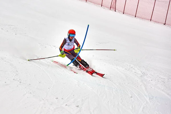 Brassó Románia Február 2018 Fiatal Versenyzők Romániában Teleferic Cup Junior — Stock Fotó