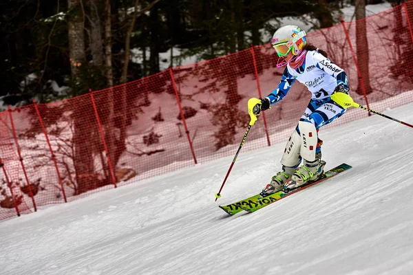 Brasov Romania Febrero 2018 Jóvenes Competidores Rumania Teleferic Cup Junior — Foto de Stock