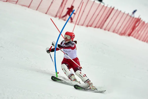 Brasov Romania February 2018 Young Competitors Romania Teleferic Cup Junior — Stok fotoğraf