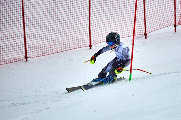 Brasov Roumanie Février 2018 Jeunes Compétiteurs Roumanie Teleferic Cup Junior Photos De Stock Libres De Droits