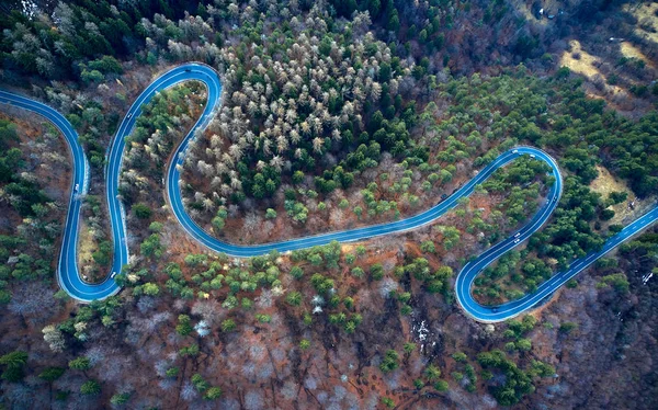 Воздушный Вид Извилистой Дороги Высокогорного Перевала Деревьями Трансильвании Румыния Изогнутый — стоковое фото