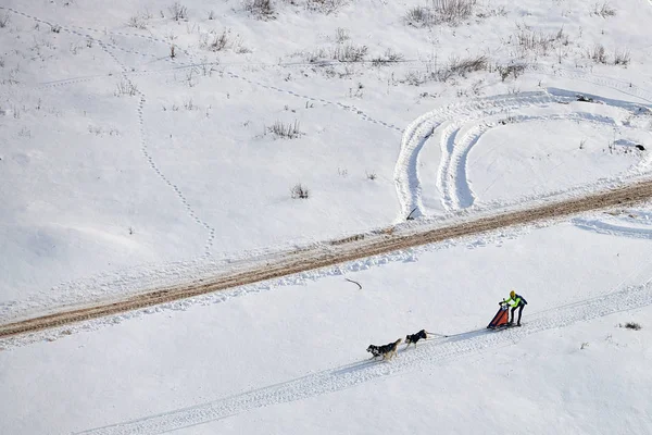 Sportsman Musher Runs Traîneau Chiens Par Une Journée Ensoleillée Sur — Photo