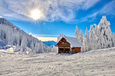 Kayak pisti, Kayak Merkezi Transylvania'da, çam ormanı kaplı kar kış sezonu, dağ manzarası kışın, Poiana Brasov, Romanya üzerinden panoramik görünüm