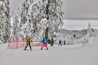 Poiana Brasov, Romanya -16 Ocak 2019:Pine orman kaplı kar üzerinde kış sezonu, Poiana Brasov dağ peyzaj manzaralı üzerinde kayak pisti kayakçı ve Snowboard düşkünleri ile zevk Kayak, Transilvanya, Romanya