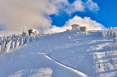 Kayak kış sezonu, karla kaplı beyaz orman tesisi Poiana Brasov, Romanya