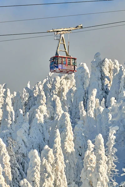 Cable Car Skiers Ski Resort Ski Slopes Whit Forest Covered — Stock Photo, Image