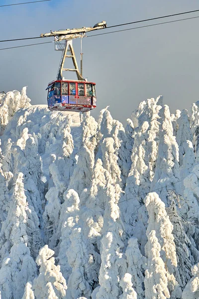 Cable Car Skiers Poiana Brasov Ski Resort Ski Slopes Whit — Stock Photo, Image