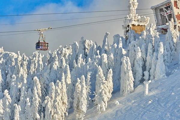 Teleférico Con Esquiadores Estación Esquí Poiana Brasov Pistas Esquí Con — Foto de Stock