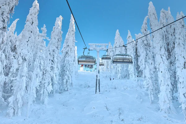 Chair lift in Poiana Brasov ski resort, Skiers and snowboarders enjoy the ski slopes in Poiana Brasov winter resort whit forest covered in snow on winter season