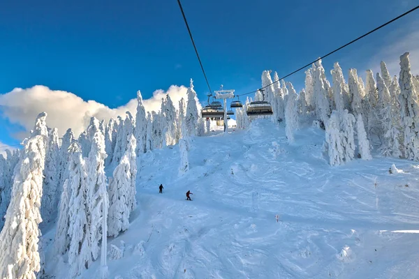 Seggiovia Poiana Brasov Stazione Sciistica Sciatori Snowboarder Godono Piste Sci — Foto Stock