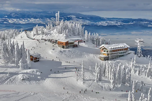 Panoramablick Über Die Skipiste Poiana Brasov Skigebiet Siebenbürgen Kiefernwald Winter — Stockfoto
