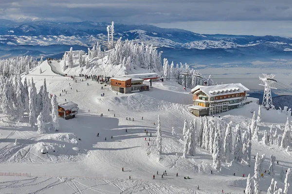 Kayak pisti Poiana Brasov kayak merkezi Transylvania'da, kış sezon, kışın dağ manzarası karla kaplı çam ormanı üzerinden panoramik görünüm