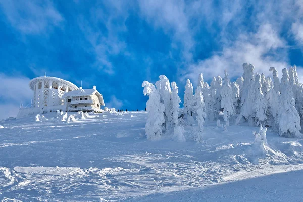 파노라마 전망을 Tr에 포이 아나 브라 소프 스키 리조트 스키장 — 스톡 사진