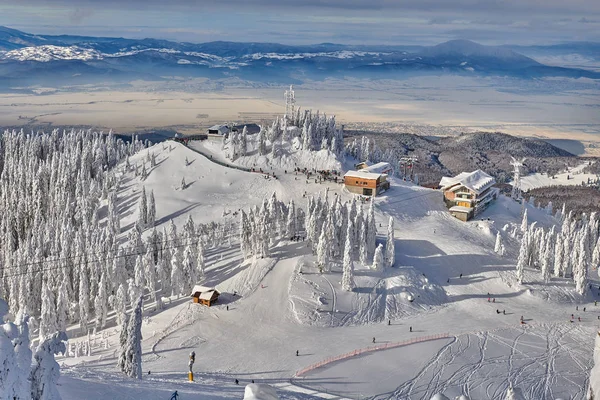 Panoramic View Ski Slope Poiana Brasov Ski Resort Transylvania Pine — Stock Photo, Image