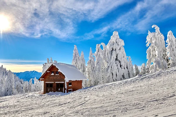 Vista Panorámica Pista Esquí Estación Esquí Transilvania Bosque Pinos Cubierto — Foto de Stock