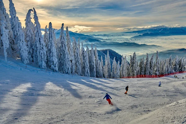 Panoramic View Ski Slope Ski Resort Transylvania Pine Forest Covered — Stock Photo, Image