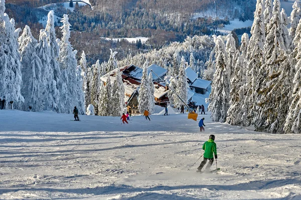 Poiana Brasov Romania January 2019 Skiers Snowboarders Enjoy Ski Slopes — стоковое фото