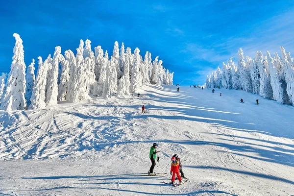 Poiana Brasov Romania January 2019 Skiers Snowboarders Enjoy Ski Slopes — стоковое фото