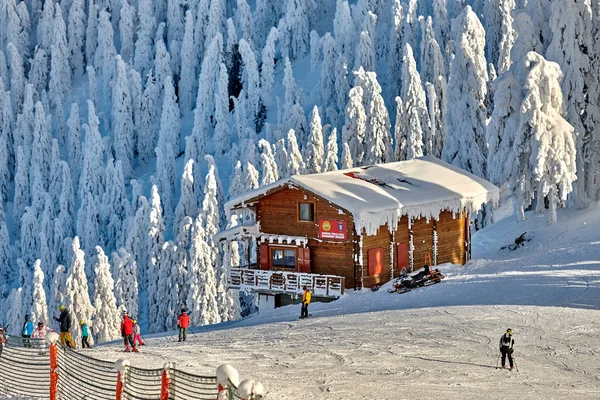 Poiana Brasov Rumunia Stycznia 2019 Narciarze Snowboardziści Korzystać Lasu Odrobina — Zdjęcie stockowe
