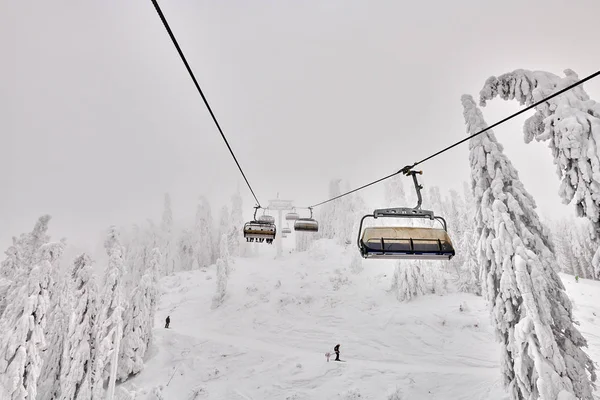 罗马尼亚波亚纳布拉索夫 2019年1月16日 滑雪者和滑雪者在波亚纳布拉索夫冬季度假村享受滑雪场 冬季被雪覆盖的森林 — 图库照片