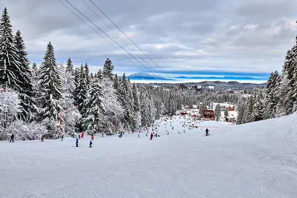 Poiana Brasov Romênia Janeiro 2019 Esquiadores Snowboarders Aproveitam Pistas Esqui — Fotografia de Stock