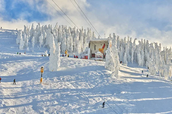 Poiana Brasov Romanya Ocak 2019 Kırmızı Kablo Araba Bir Kayak — Stok fotoğraf