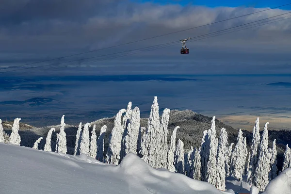 Ski Slopes Whit Forest Covered Snow Winter Season Poiana Brasov — Stock Photo, Image