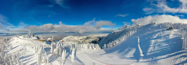 Panoramisch Uitzicht Het Winter Landschap Dennenbossen Bedekt Met Sneeuw Winterseizoen — Stockfoto