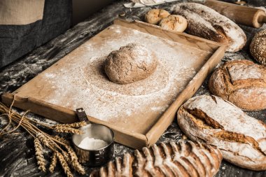 Bütün tahıl somun ekmek - küçük fırın sahne yapma. Çiğ hamur pasta kurulu.