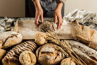 Bütün tahıl somun ekmek - küçük fırın sahne yapma. Baker'ın elinde çiğ hamur.