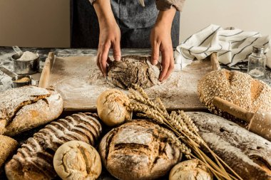 Making whole grain loaf of bread - small bakery scenery. Raw dough in baker's hands. clipart