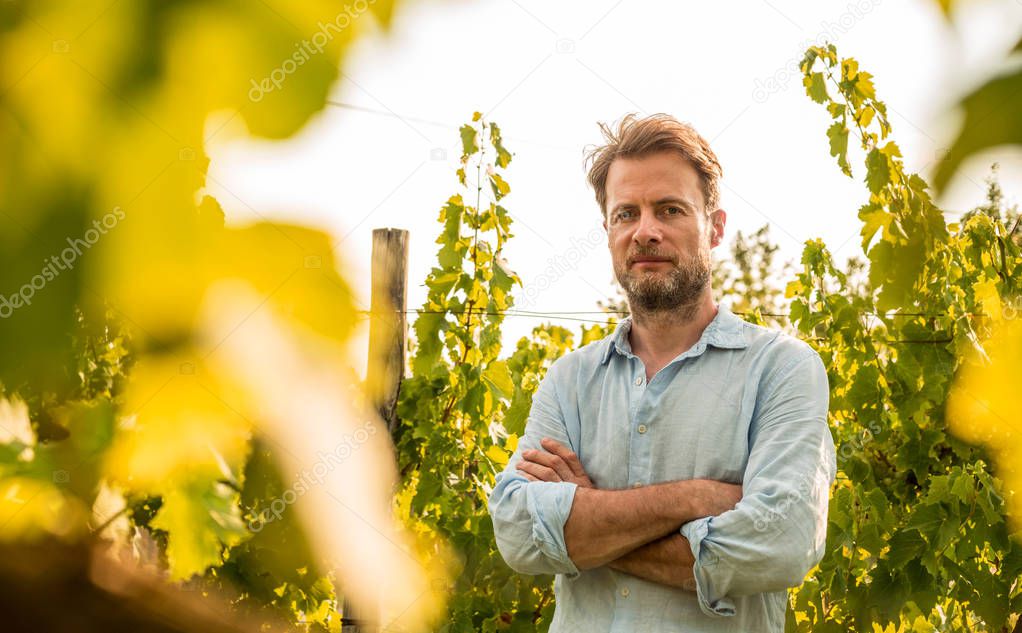 Forty years old caucasian farmer standing proud in front of a vineyard. Agriculture or gardening - country outdoor scenery, warm sunset light.