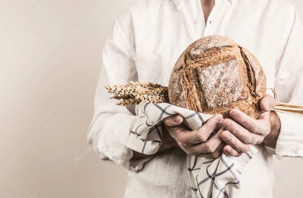 Rustic crusty loaf of bread and wheat in a strong baker man's hands - closeup. Small business and slow food concept. White background with free (copy) text space.