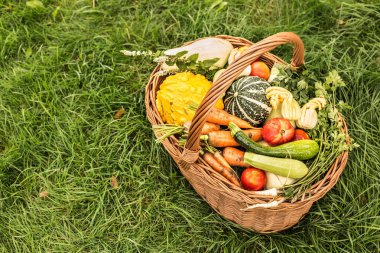 Yeşil çimlerin üzerinde hasır sepette renkli sebzeler