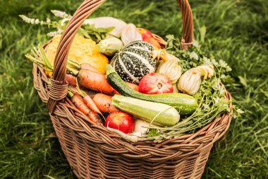 Yeşil çimlerin üzerinde hasır sepette renkli sebzeler