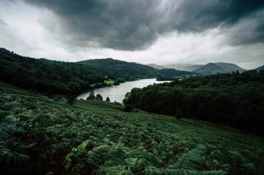 Loughrigg manzara görünümünden düştü Lake District olduğunu