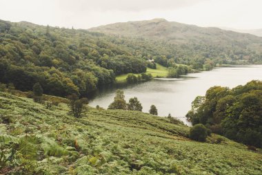 Loughrigg manzara görünümünden düştü Lake District olduğunu