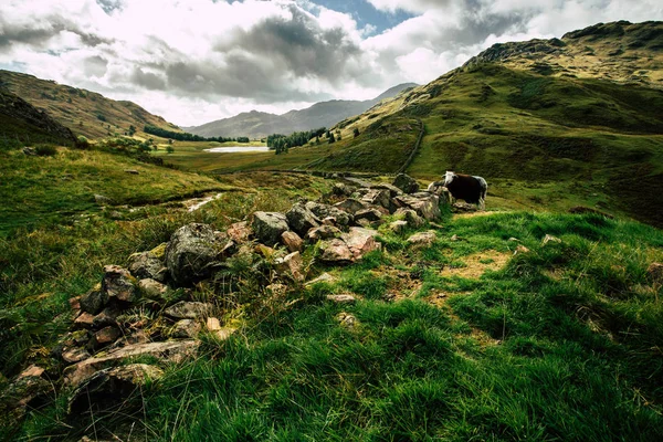Lake District Olarak Great Langdale Görünümlerini Manzaralar — Stok fotoğraf