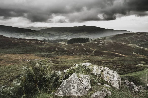 Пейзажний Вид Від Loughrigg Закохався Озерний Край — стокове фото