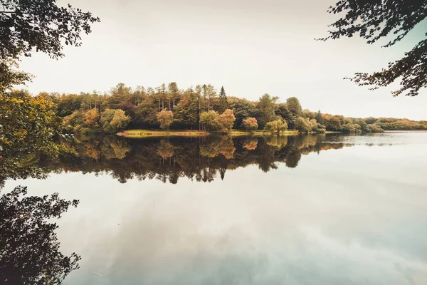 Bäume Spiegeln Sich Auf Einem See — Stockfoto